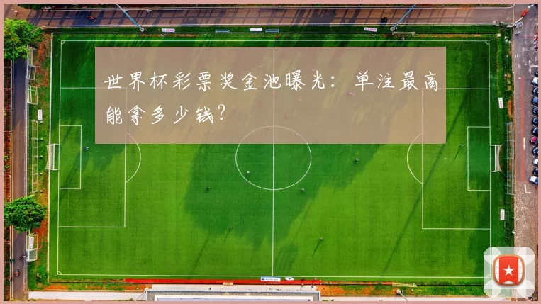 世界杯彩票奖金池曝光：单注最高能拿多少钱？