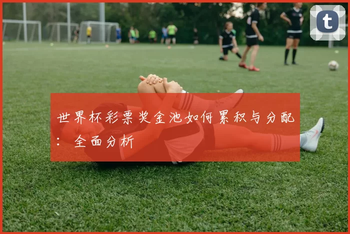 世界杯彩票奖金池如何累积与分配:全面分析