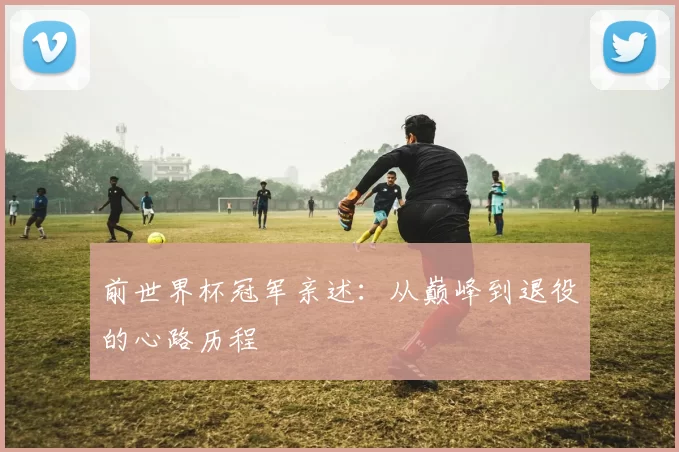 前世界杯冠军亲述:从巅峰到退役的心路历程