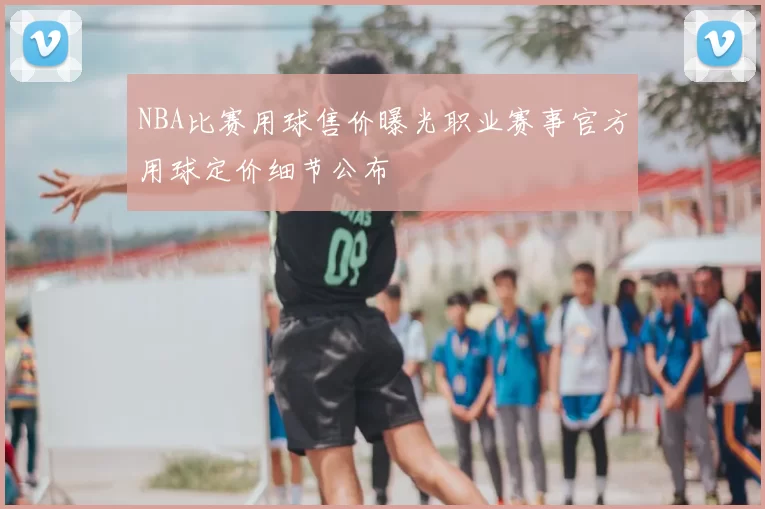NBA比赛用球售价曝光职业赛事官方用球定价细节公布