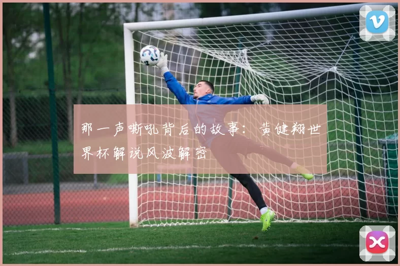 那一声嘶吼背后的故事:黄健翔世界杯解说风波解密