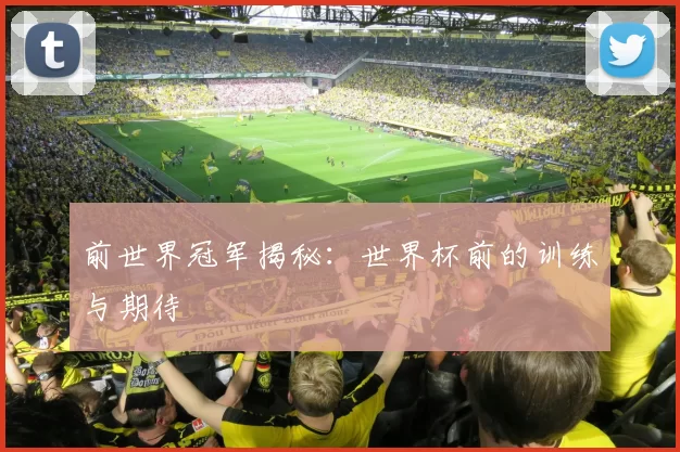 前世界冠军揭秘：世界杯前的训练与期待