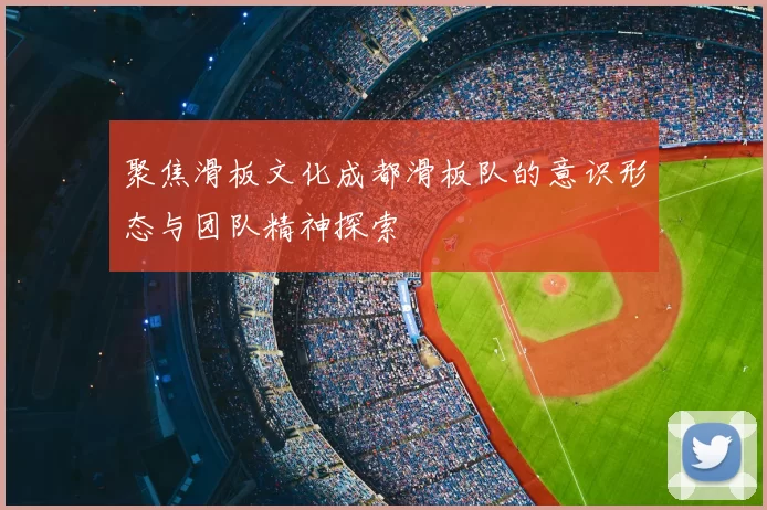 聚焦滑板文化成都滑板队的意识形态与团队精神探索