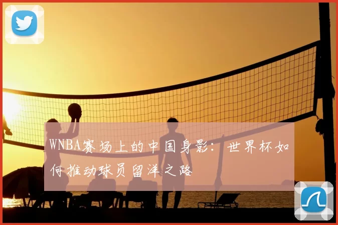 WNBA赛场上的中国身影:世界杯如何推动球员留洋之路