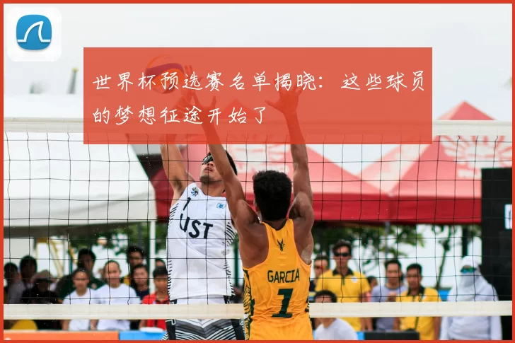 世界杯预选赛名单揭晓:这些球员的梦想征途开始了