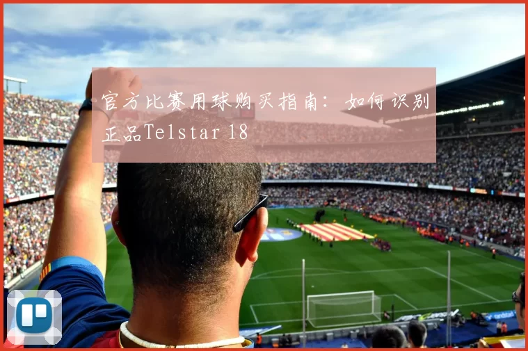 官方比赛用球购买指南：如何识别正品Telstar 18