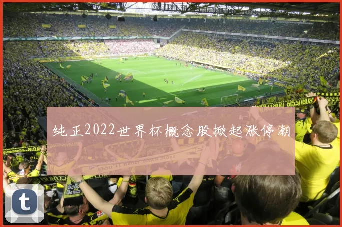 纯正2022世界杯概念股掀起涨停潮