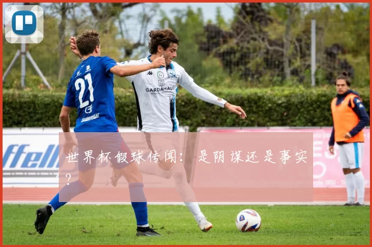 世界杯假球传闻：是阴谋还是事实？