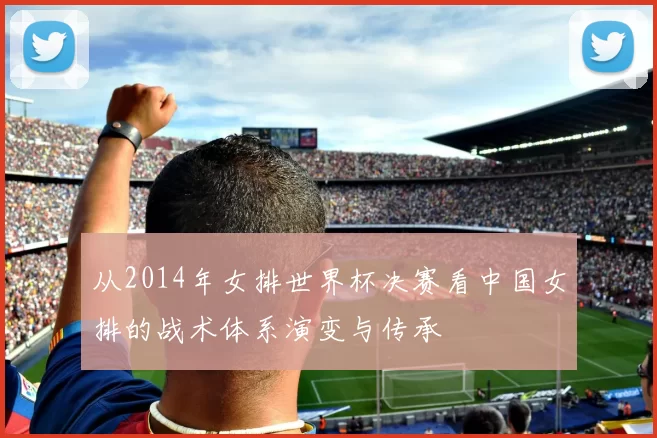 从2014年女排世界杯决赛看中国女排的战术体系演变与传承