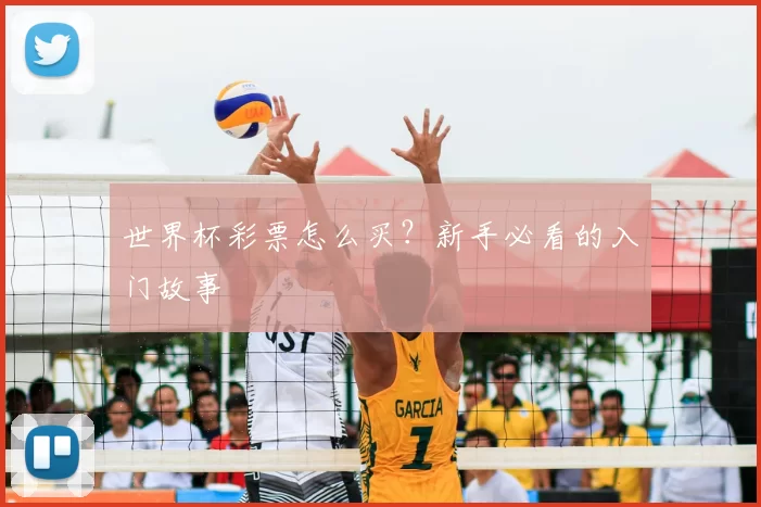 世界杯彩票怎么买?新手必看的入门故事