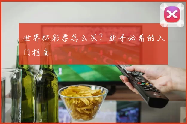 世界杯彩票怎么买？新手必看的入门指南