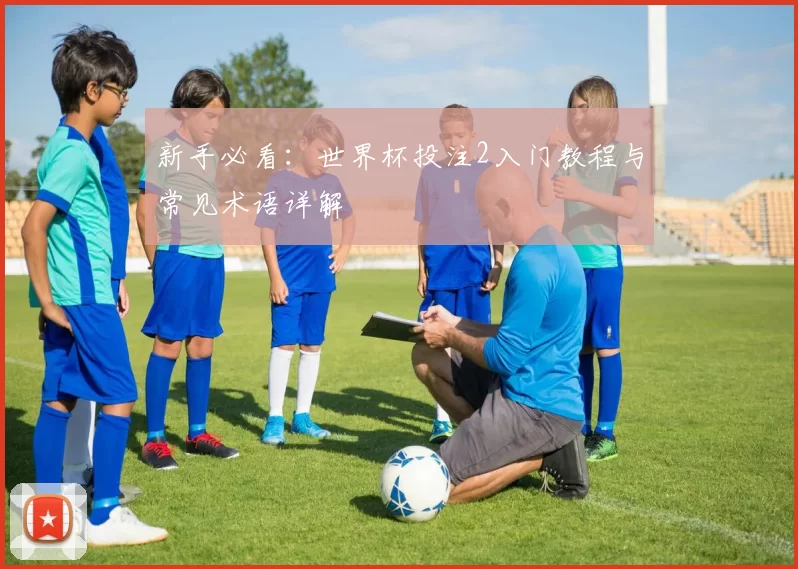 新手必看：世界杯投注2入门教程与常见术语详解